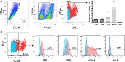 Immunophenotyping Reveals the Diversity of Human Dental Pulp Mesenchymal Stromal Cells In vivo and Their Evolution upon In vitro Amplification